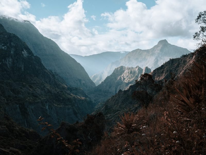 sergey-zhesterev-VJlLx10OYRo-unsplash